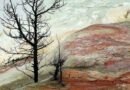 Ultimo mese per visitare la mostra fotografica di Saro Di Bartolo